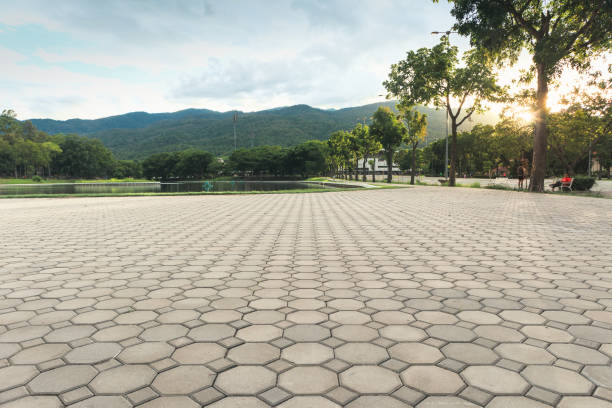 Best Local Driveway Pavers  in Beecher, IL