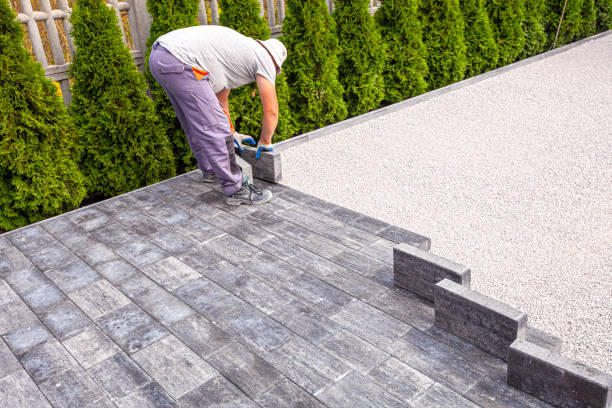 Best Driveway Pavers Contractor  in Beecher, IL