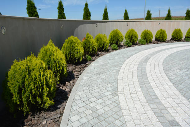 Best Best Driveway Pavers  in Beecher, IL